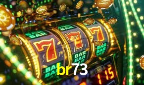 Platform Technology br73